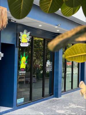 Cannabis store in Phuket, Thailand 