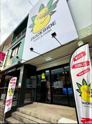 Cannabis store in Phuket, Thailand 