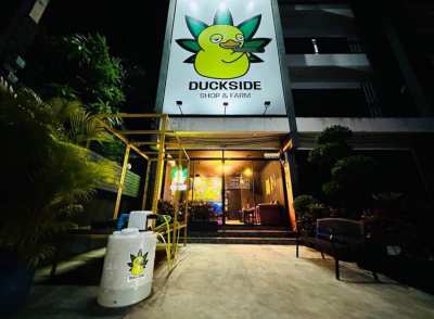 Cannabis store in Phuket, Thailand 