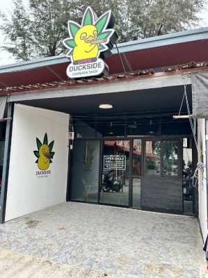 Cannabis store in Phuket, Thailand 