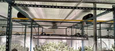 Cannabis farm for sale