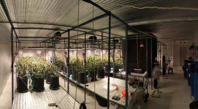 Cannabis farm for sale