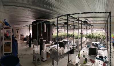 Cannabis farm for sale