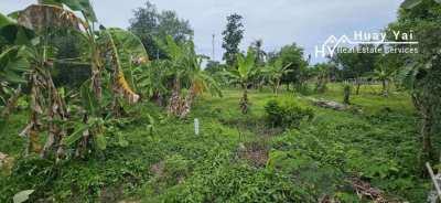 #1598 Huay Yai. 2 plots just off Soi Polo