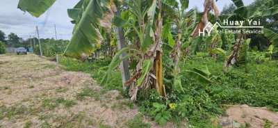 #1598 Huay Yai. 2 plots just off Soi Polo