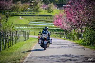 HONDA AFRICATWIN 1100 DCT