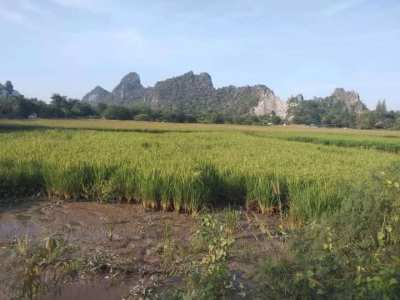 Direct Owner 6 Rai Mountain View Land in Ratchaburi for Sale