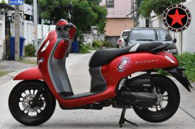 Honda Scoopy Urban