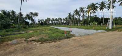 #1616  Huay Yai: 7xbuilding plots in semi rural quiet residential area