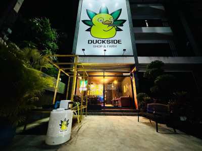 Cannabis shop (coffee shop) in Koh Samui, Thailand