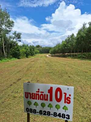 Agricultural Durian land with prepared house site.