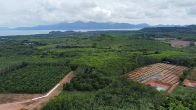 Agricultural Durian land with prepared house site.