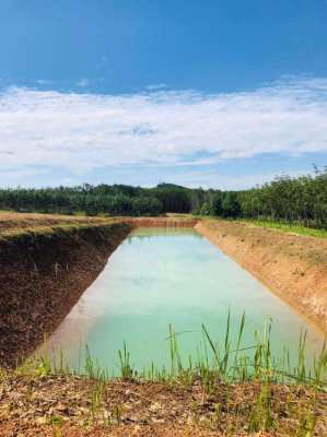 Agricultural Durian land with prepared house site.