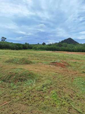 Agricultural Durian land with prepared house site.