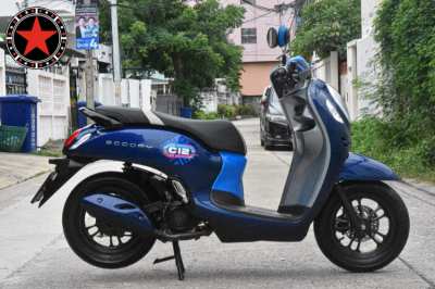 Honda Scoopy Club12