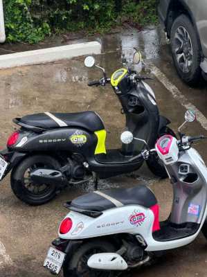 The Honda Scoopy C12 2023 moped is for sale.