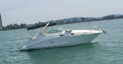 SeaRay Sundancer 280