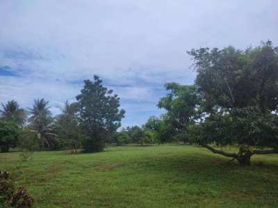 2.5 Rai of land with Chanote  Pranburi /Hua Hin Area 