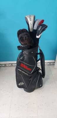 full set of golf clubs with bag - XXIO