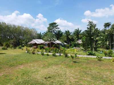 ⭐⭐ Resort for Sale – Koh Lanta Yai – Freehold ⭐⭐