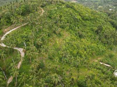 Sea-jungle view landpiece in the heart of Koh Samui