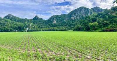 Direct Owner 102 Rai Mountain View Land in Saraburi for Sale