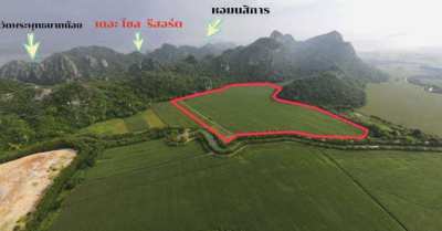 Direct Owner 102 Rai Mountain View Land in Saraburi for Sale