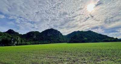 Direct Owner 102 Rai Mountain View Land in Saraburi for Sale