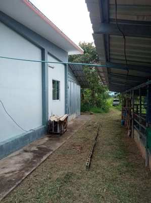 Land with house for sale 9+ rai in Khon Kaen province