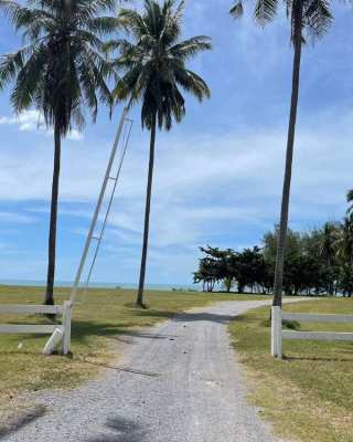 Direct Owner 5.8 Rai Beachfront Land in Sichon Nakhon Si Thammarat 