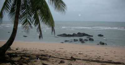 Direct Owner 2 Rai Beachfront Land in Koh Lanta for Sale