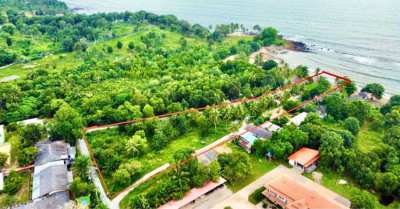 Direct Owner 3 Rai Beachfront Land in Koh Lanta, Krabi for Sale