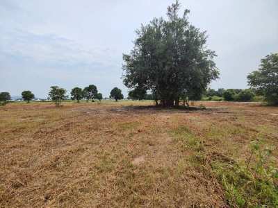 Square Shaped 1-0-0 Rai Home Building Plot Near Black Mountain Golf