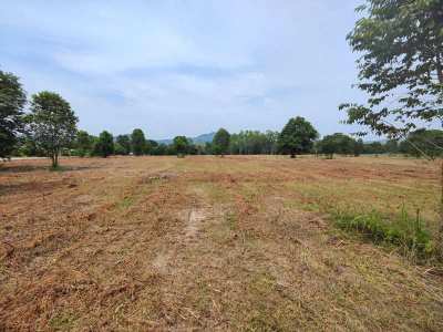 Square Shaped 1-0-0 Rai Home Building Plot Near Black Mountain Golf