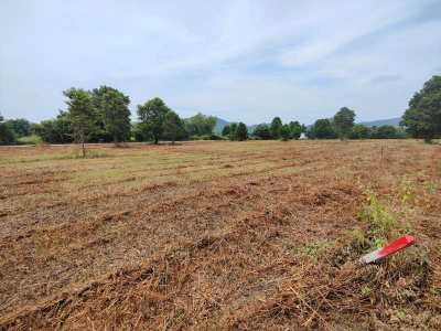 Square Shaped 1-0-0 Rai Home Building Plot Near Black Mountain Golf