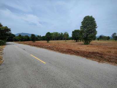  Hot! 9-1-30 Rai Home Development  Land Near Black Mountain Golf