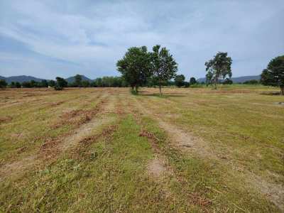 Hot! 2-0-0 Rai Home Plot Near Black Mountain Golf - New Owner Can Cut!