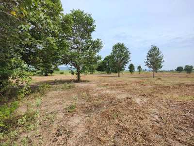 Hot! 2-0-0 Rai Home Plot Near Black Mountain Golf - New Owner Can Cut!