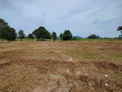 Hot! 2-0-0 Rai Home Plot Near Black Mountain Golf - New Owner Can Cut!