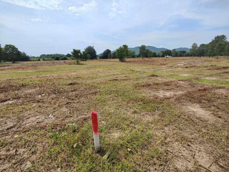 Hot! 2-0-0 Rai Home Plot Near Black Mountain Golf - New Owner Can Cut!