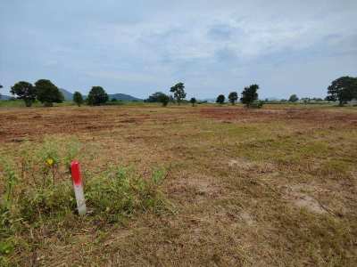 Hot! Square Shaped 1-0-0 Rai Home Plot Near Black Mountain Golf!