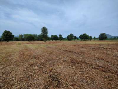 Hot! Square Shaped 1-0-0 Rai Home Plot Near Black Mountain Golf!