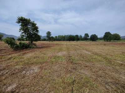 Hot! Square Shaped 1-0-0 Rai Home Plot Near Black Mountain Golf!