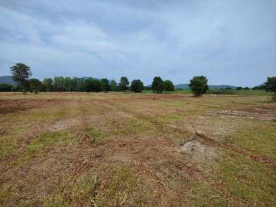 Hot! Square Shaped 1-0-0 Rai Home Plot Near Black Mountain Golf!