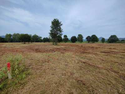 Hot! Square Shaped 1-0-0 Rai Home Plot Near Black Mountain Golf!