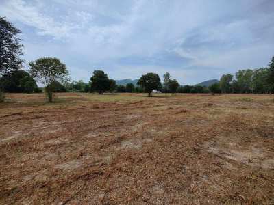 Hot! Square Shaped 1-0-0 Rai Home Plot Near Black Mountain Golf!