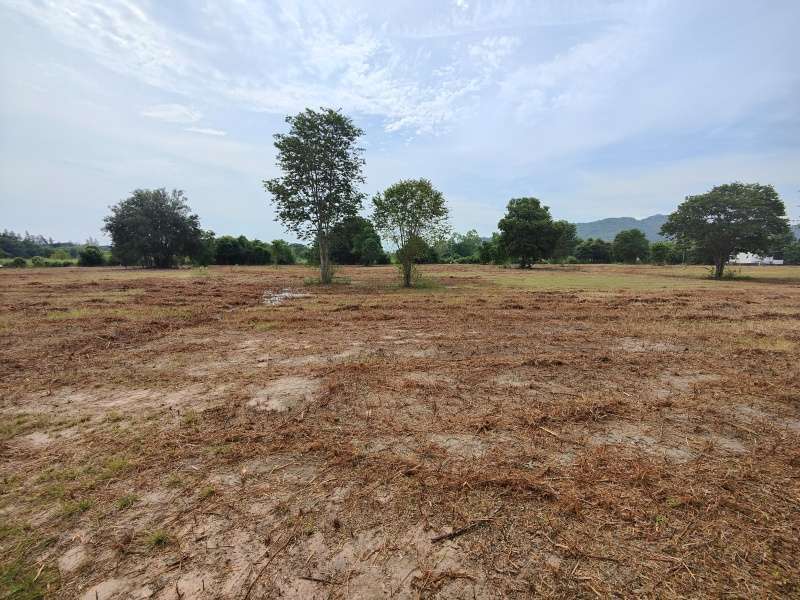 Hot! Square Shaped 1-0-0 Rai Home Plot Near Black Mountain Golf!