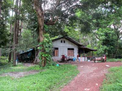 72 Rai, 12 Kilometers From Nong Khai. Beautiful Location!