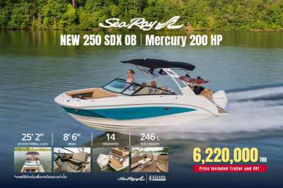 Sea Ray 250 SDX