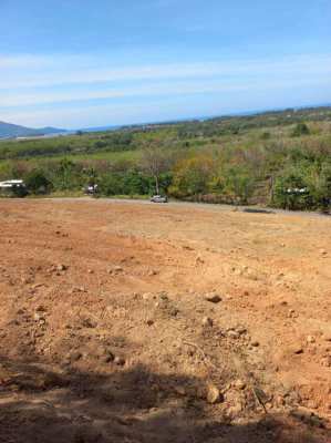 Unobstructed Sea View Land for sale 